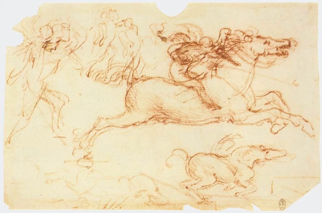 116-Studio di cavaliere al galloppo